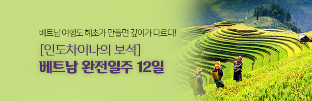 베트남12일