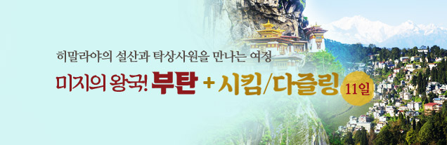 부탄+시킴