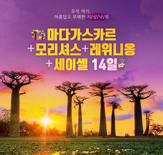 마다가스카르+세이셸