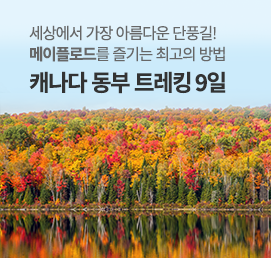 캐나다 동부 트레킹_메이플로드