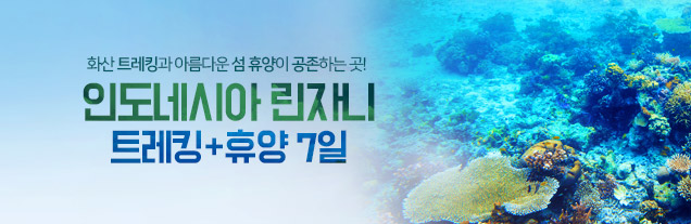 린자니