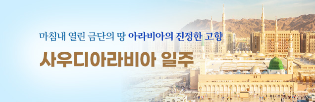 사우디아라비아