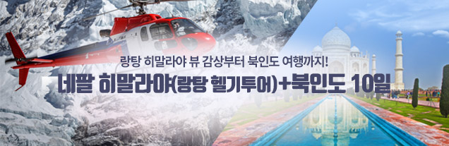 네팔헬기투어+북인도10일