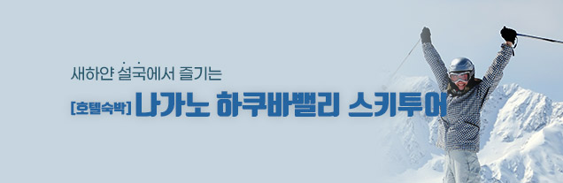 하쿠바밸리 스키투어