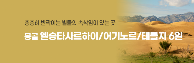 몽골 어기노르엘승타사르하이