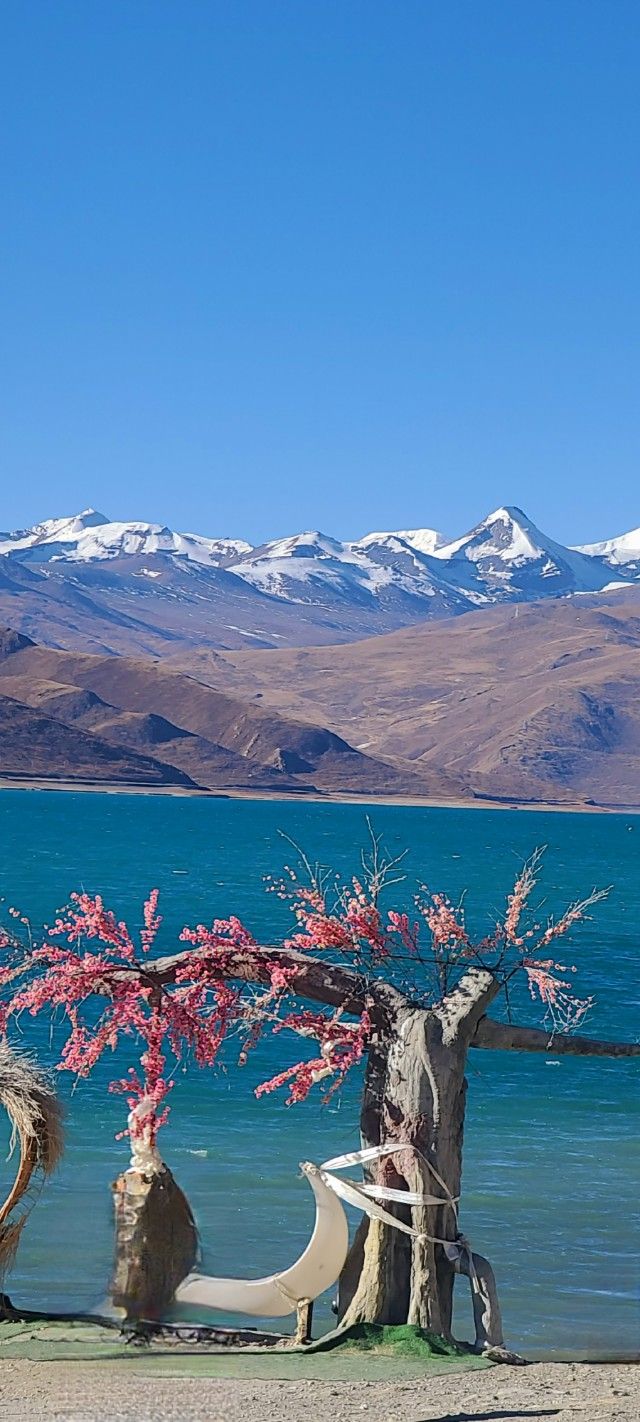 2026.티벳-전체 사진-75266622727.jpg