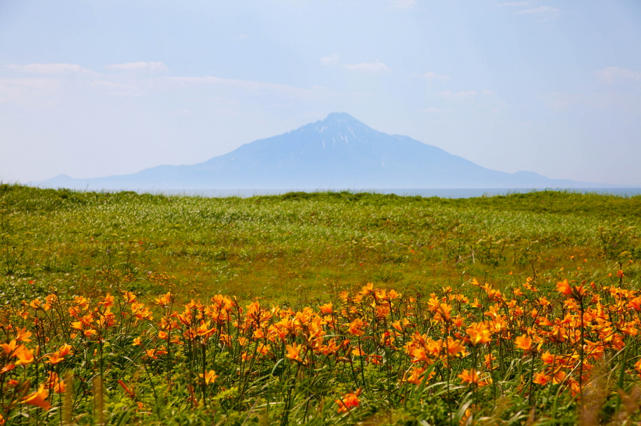 [하이킹] 일본 최북단 꽃의 섬, 리시리/레분 6일